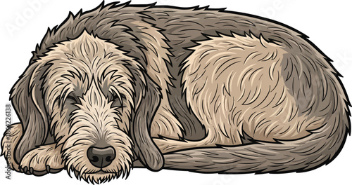 Otterhound dog curled up relaxed sleeping cute vector illustration