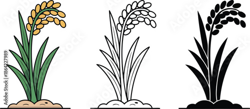 Rice plant silhouette & Outline and illustration set isolated on transparent background