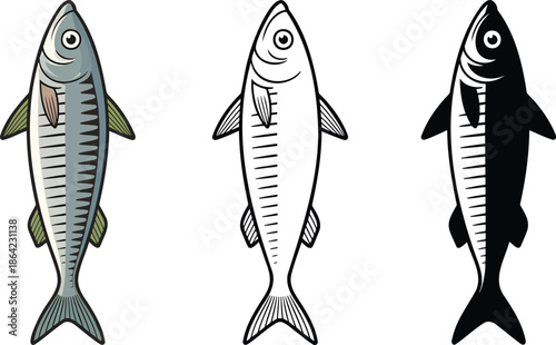 Sardine silhouette & Outline and illustration set isolated on transparent background