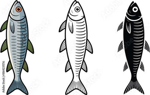 Sardine silhouette & Outline and illustration set isolated on transparent background