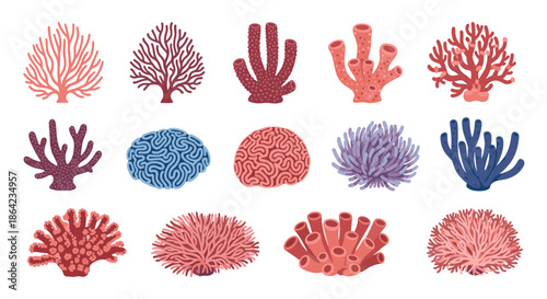 Diverse collection of colorful marine coral species including fan brain and tube corals isolated on a clean white background.