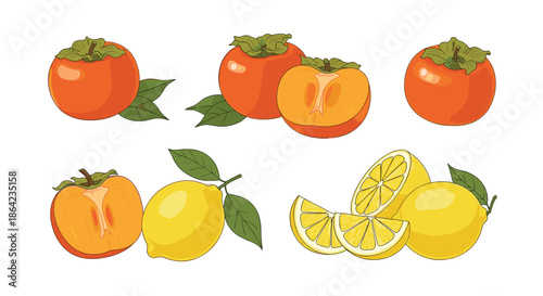 Assortment of persimmons and lemons shown whole and sliced for fresh fruit market and healthy eating lifestyle promotional materials.