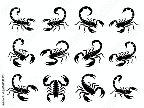 Collection of black scorpion silhouettes isolated on white background, Vector, illustration
