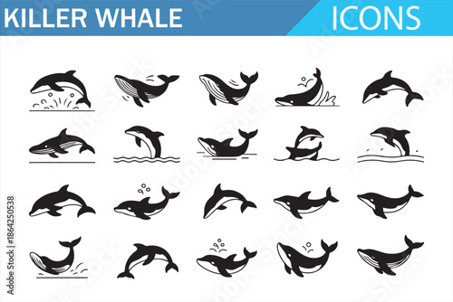 Orca whale outline icons collection showing swimming movements and poses