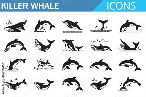 Killer whale silhouette icons set for marine biology and ocean concepts