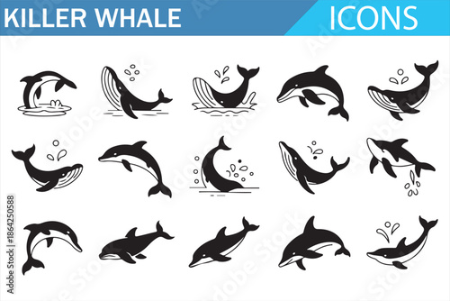 Killer whale line icons set featuring orca silhouettes, swimming poses, marine mammal movements, ocean wildlife symbols and aquatic animal illustration collection