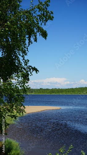 Sand spit on blue sea surrounded by green threes