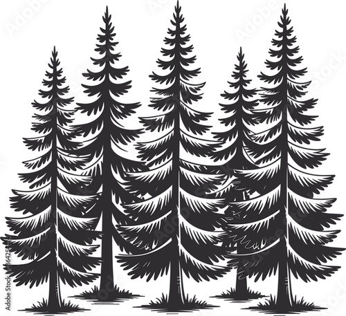 Hand drawn vintage pine forest sketch, coniferous evergreen trees line art, nature woodland vector illustration set