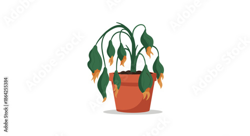A sad and neglected houseplant with drooping wilting leaves in a terracotta pot in desperate need of water and proper care.