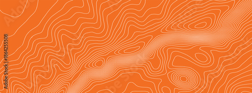 Sushi pattern salmon with tuna meat texture and fish abstract wood. Lines design fillet with color vector sashimi and japanese food sardine. Restaurant cooking sushi with seamless cosmetic tuna.