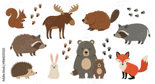 A cute cartoon collection of various woodland animals and their paw prints including a bear fox moose raccoon and squirrel.