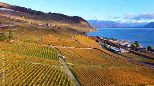 Lavaux vineyard terraces aerial view by Lake Geneva at sunset in autumn. Bourg-en-Lavaux, Canton of Vaud, Switzerland.