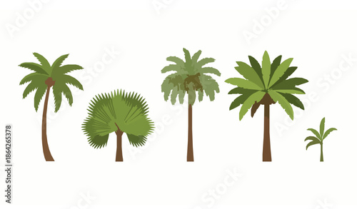 Tropical palm tree vector set isolated on white background for summer, beach, and nature illustrations