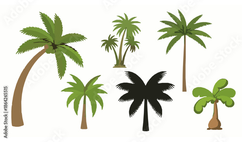 Flat palm tree vector illustrations set isolated on white background for tropical and summer graphics