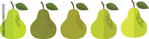 Pear Fruit Vector Set with Multiple Color Variations Flat Minimal Illustration Isolated on White Background