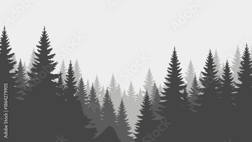 Silhouette of dense evergreen forest trees against a light sky.