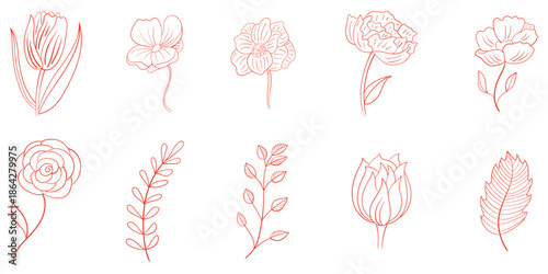 Elegant hand drawn botanical outline collection with various flowers and delicate leaves