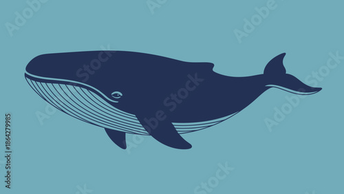 Stylized Blue Whale Illustration with Detailed Gills.