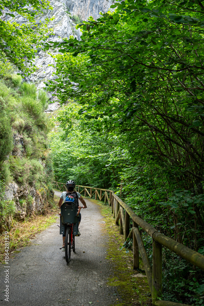 Obraz premium A person is riding a bicycle down a path in a forest. The path is lined with trees and the person is wearing a helmet