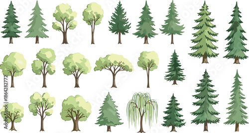 Tree illustration set, coniferous and deciduous trees, nature diversity, green foliage, botanical vector, forest elements, educational plant graphics