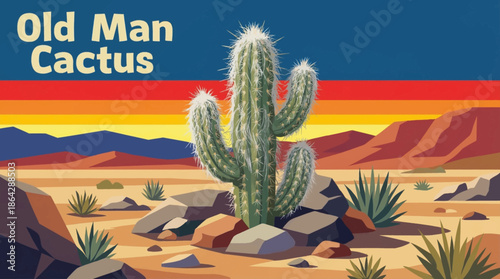 The old man cactus displays long white hair-like spines that protect it from sun exposure and temperature extremes on a dry desert plateau