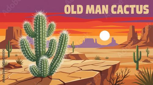 The old man cactus displays long white hair-like spines that protect it from sun exposure and temperature extremes on a dry desert plateau