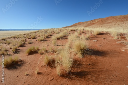 Fotografía Sandwüste im Namib-Naukluft-Nationalpark in Namibia