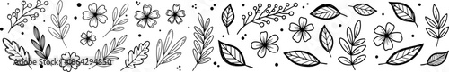 Hand drawn floral doodles border. Black and white botanical sketch set with leaves and flowers for wedding invitation divider