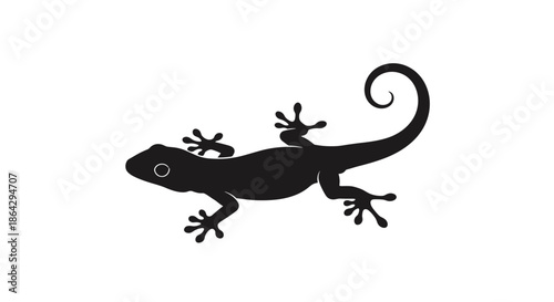 Black silhouette of a gecko or lizard with a curled tail representing tropical wildlife, reptile species, and exotic nature patterns.