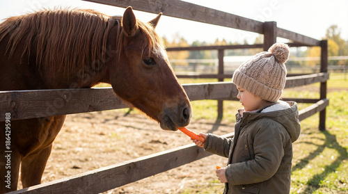 Child feeding carrot to brown horse at a sunny farm setting  
