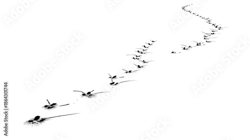 Minimalist black and white human footprints forming a curving path on a pristine white background, symbolizing journey, progress, and solitude.