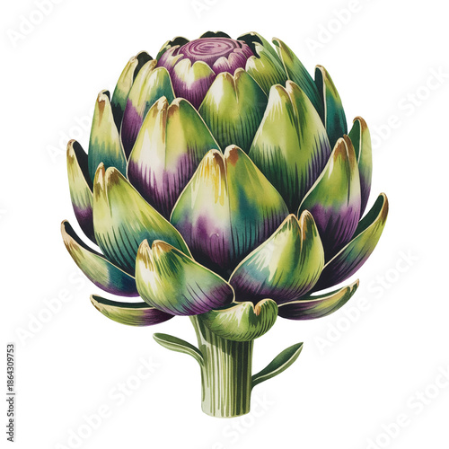 A single artichoke is beautifully detailed in vibrant colors
