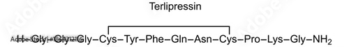 Terlipressin, chemical structure of terlipressin, drug substance