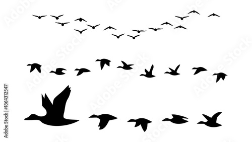 Black silhouettes flying geese ducks flock waterfowl migration birds wildlife icon