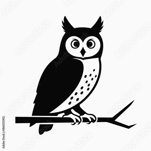 Owl perched on branch
