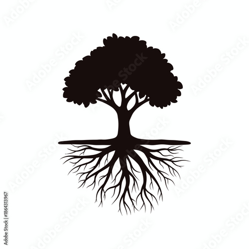 Silhouette of a tree with roots