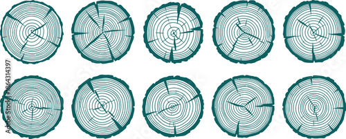 Ten green tree stump cross sections with visible rings and cracks on a white background