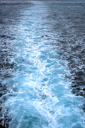 Speedboat foam trail in the sea