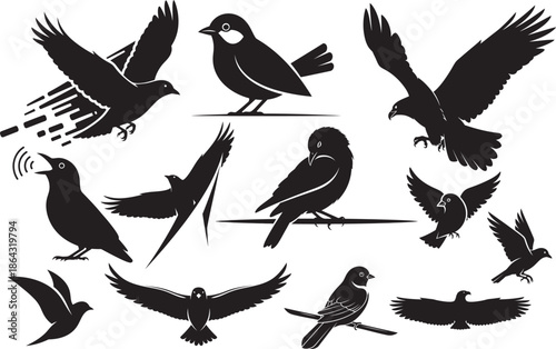 Silhouette of various birds isolated on transparent background bird silhouettes collection