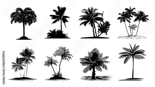 Diverse tropical palm tree silhouettes vector set. Black isolated illustrations for summer, beach, island, and exotic designs.