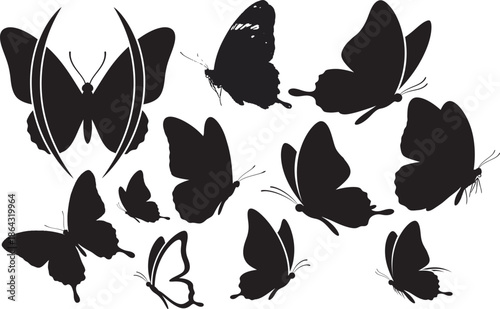 Silhouette of various butterflies isolated on transparent background