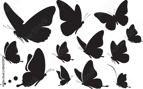 Silhouette of multiple butterflies isolated on transparent background