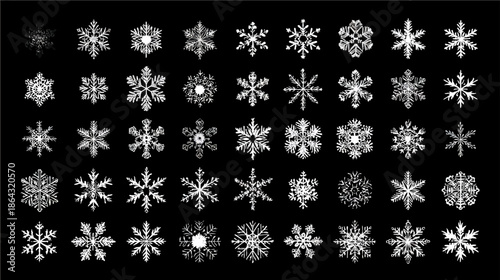 Set of diverse white snowflakes on black background, intricate winter ice crystals, frosty patterns, elegant seasonal design elements, unique snow shapes.