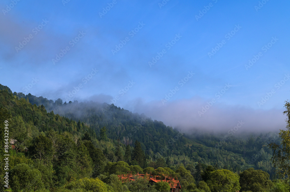 Obraz premium Serene landscape with misty morning fog over green meadow and mountains