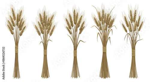 Five distinct sheaves of golden wheat tied with twine representing a bountiful harvest and traditional agriculture.