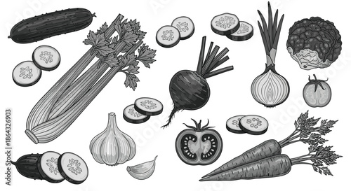 Selection of varied garden vegetables like cucumber celery beet onion and tomato in a detailed grayscale illustration.