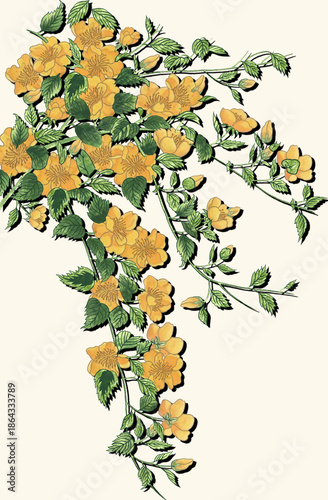 abstract background with leaves