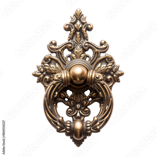 Ornate Door Knocker on Wooden Door With Intricate Design and Classic Style in...