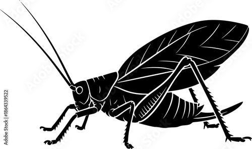 katydid silhouette line art vector illustration with a white background
