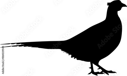 pheasant silhouette line art vector illustration with a white background
